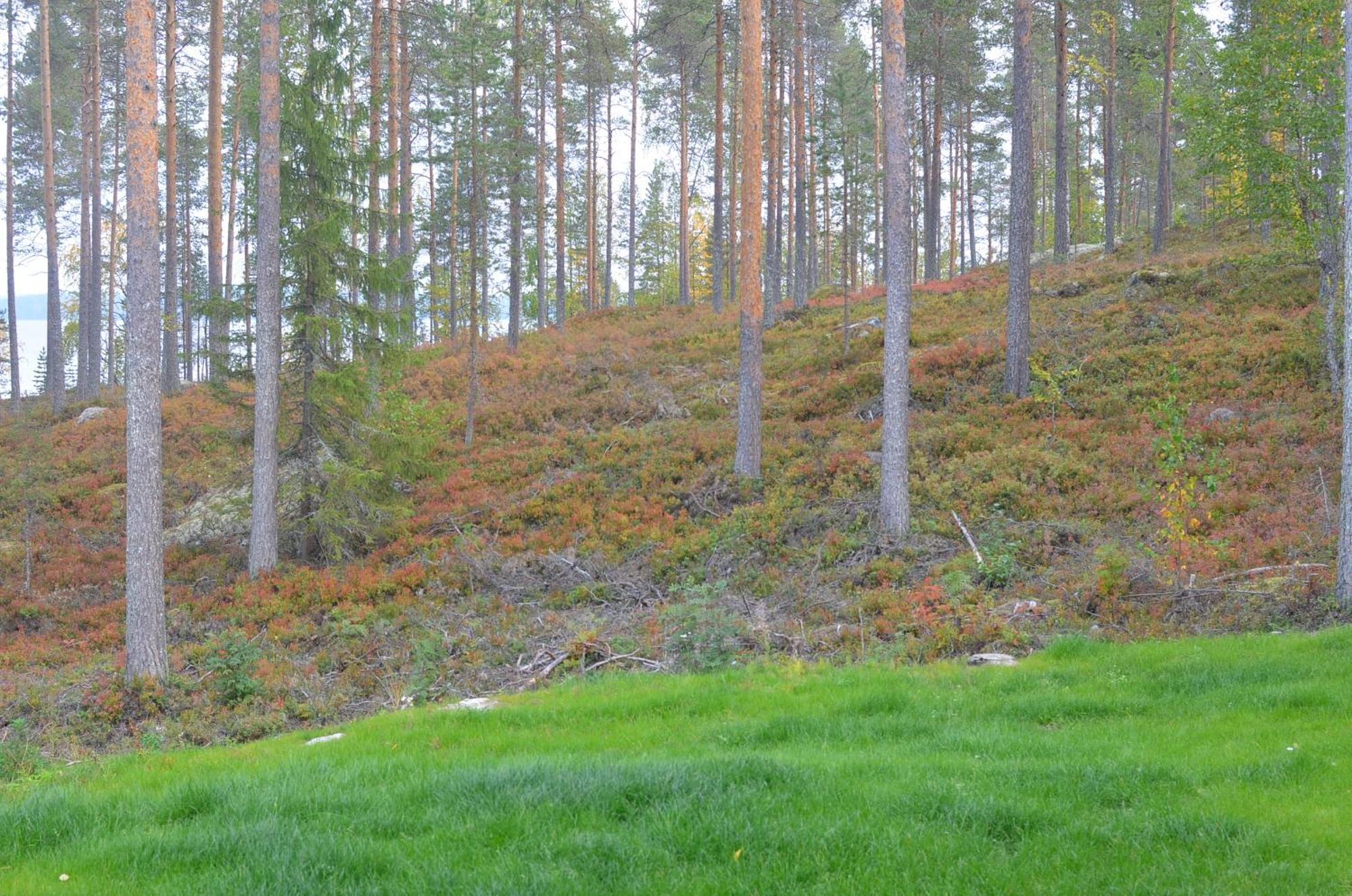 Kainiemen Huvilat Nurmes Zimmer foto
